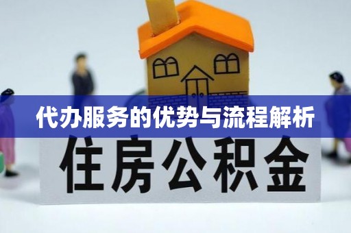 文峰代办服务的优势与流程解析