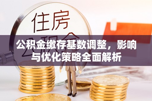 文峰公积金缴存基数调整，影响与优化策略全面解析