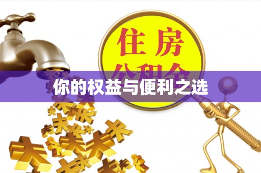 文峰你的权益与便利之选