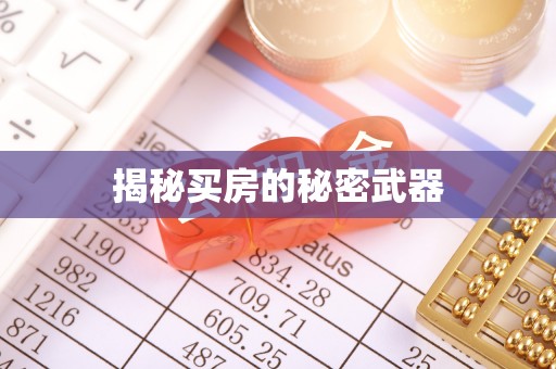 文峰揭秘买房的秘密武器