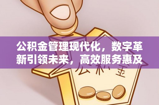 文峰公积金管理现代化，数字革新引领未来，高效服务惠及民生