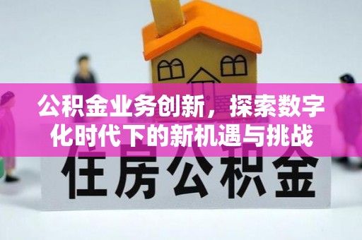 文峰公积金业务创新，探索数字化时代下的新机遇与挑战
