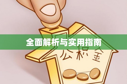 文峰全面解析与实用指南