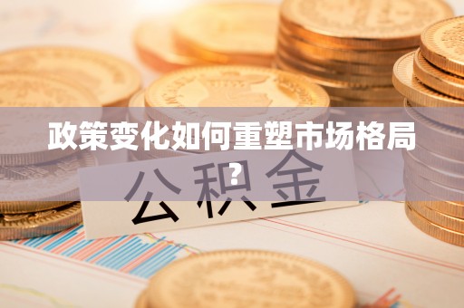 文峰政策变化如何重塑市场格局？