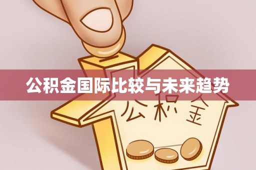 文峰公积金国际比较与未来趋势