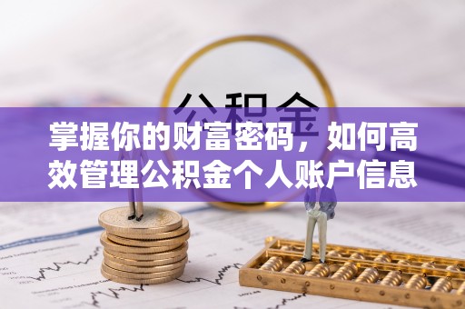 文峰掌握你的财富密码，如何高效管理公积金个人账户信息