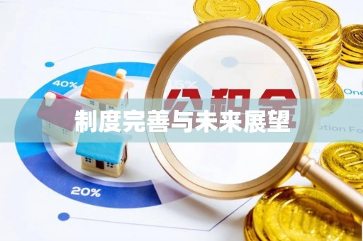 文峰制度完善与未来展望