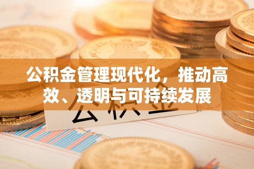 文峰公积金管理现代化，推动高效、透明与可持续发展