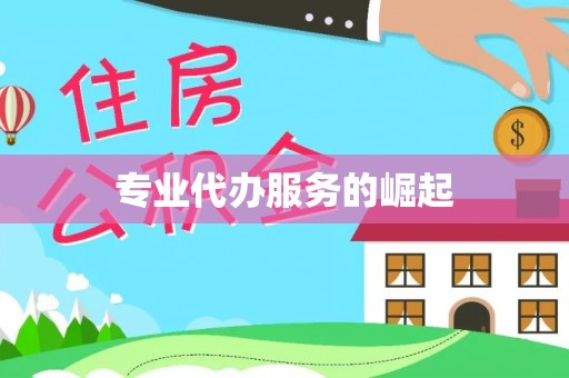 文峰专业代办服务的崛起