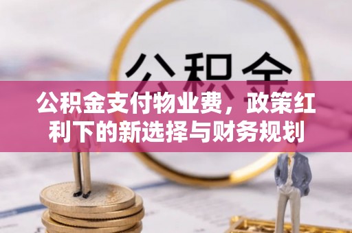 文峰公积金支付物业费，政策红利下的新选择与财务规划