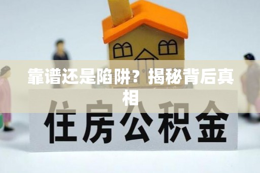 文峰靠谱还是陷阱？揭秘背后真相