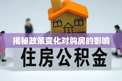 文峰揭秘政策变化对购房的影响