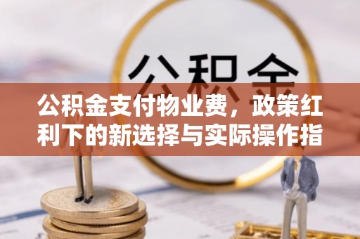 文峰公积金支付物业费，政策红利下的新选择与实际操作指南
