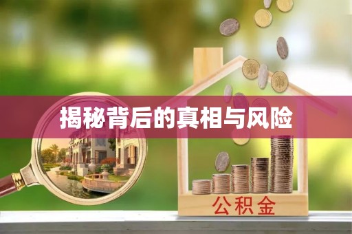文峰揭秘背后的真相与风险