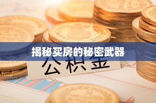 文峰揭秘买房的秘密武器