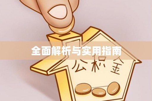 文峰全面解析与实用指南