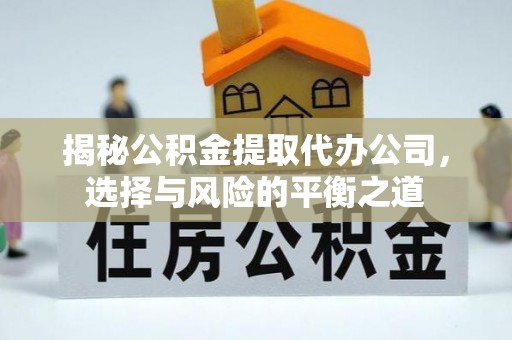 文峰揭秘公积金提取代办公司，选择与风险的平衡之道
