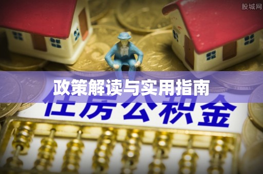 文峰政策解读与实用指南