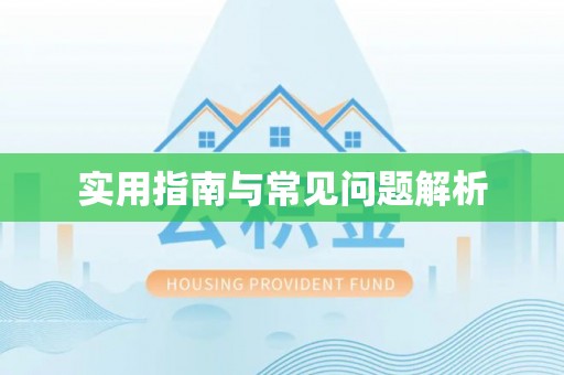 文峰实用指南与常见问题解析