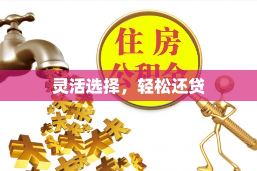 文峰灵活选择，轻松还贷