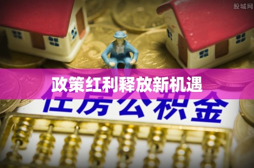 文峰政策红利释放新机遇