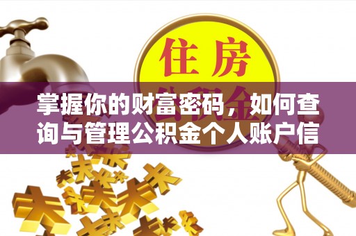 文峰掌握你的财富密码，如何查询与管理公积金个人账户信息