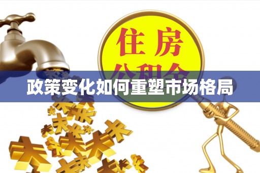 文峰政策变化如何重塑市场格局