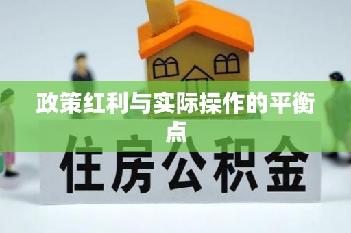 文峰政策红利与实际操作的平衡点