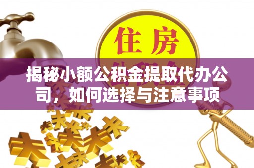 文峰揭秘小额公积金提取代办公司，如何选择与注意事项