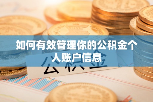 文峰如何有效管理你的公积金个人账户信息