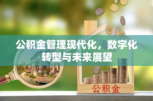 文峰公积金管理现代化，数字化转型与未来展望