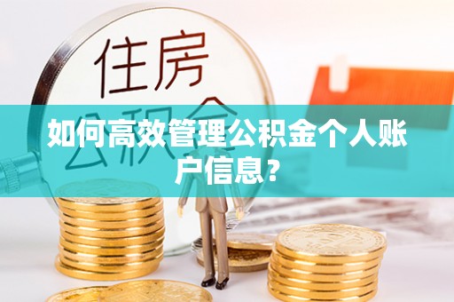 文峰如何高效管理公积金个人账户信息？
