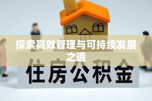 文峰探索高效管理与可持续发展之道