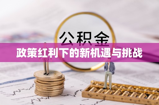 文峰政策红利下的新机遇与挑战
