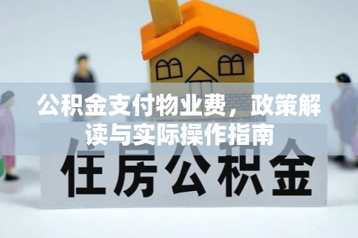 文峰公积金支付物业费，政策解读与实际操作指南