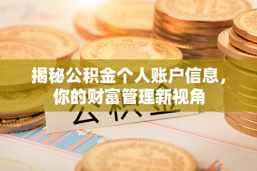 文峰揭秘公积金个人账户信息，你的财富管理新视角