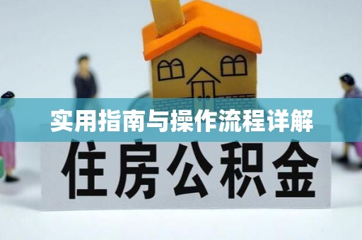 文峰实用指南与操作流程详解