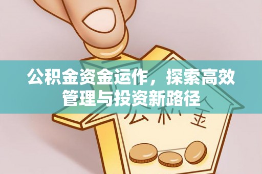 文峰公积金资金运作，探索高效管理与投资新路径