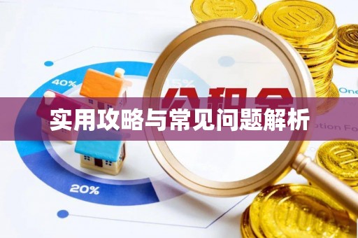 文峰实用攻略与常见问题解析