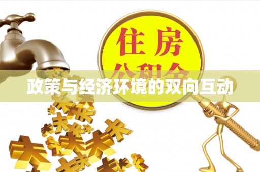 文峰政策与经济环境的双向互动