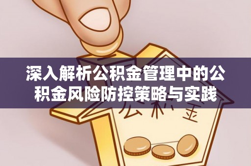 文峰深入解析公积金管理中的公积金风险防控策略与实践