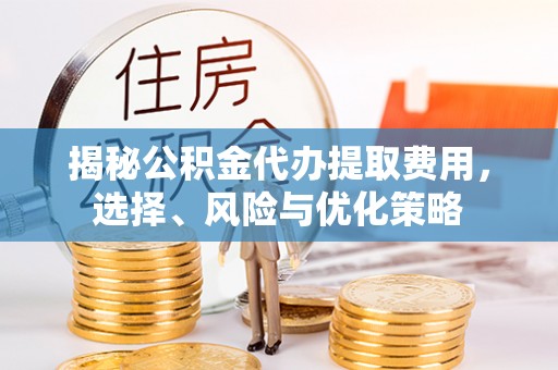文峰揭秘公积金代办提取费用，选择、风险与优化策略