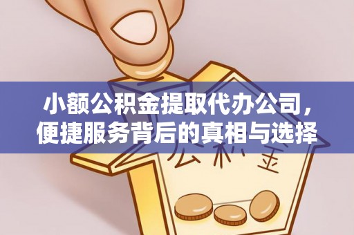 文峰小额公积金提取代办公司，便捷服务背后的真相与选择