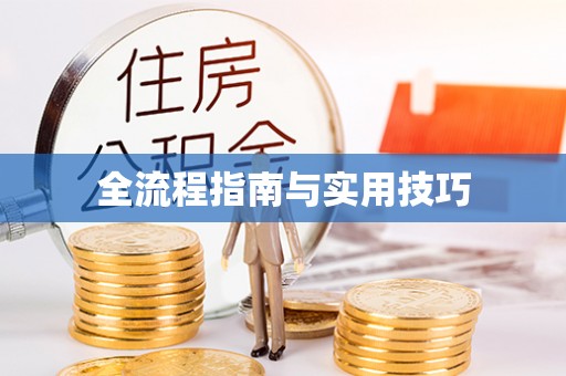 文峰全流程指南与实用技巧