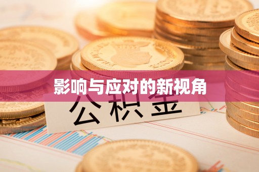 文峰影响与应对的新视角