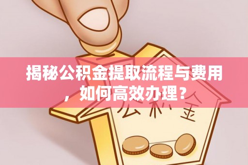 文峰揭秘公积金提取流程与费用，如何高效办理？