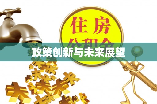文峰政策创新与未来展望