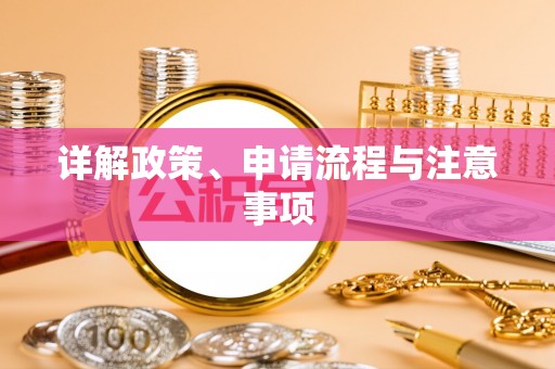 文峰详解政策、申请流程与注意事项