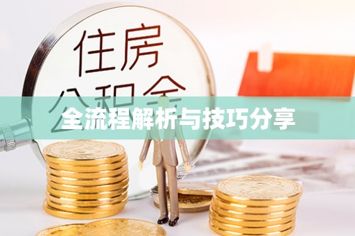 文峰全流程解析与技巧分享