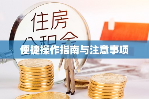 文峰便捷操作指南与注意事项